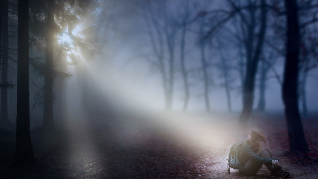A ray of light shining into a person in a dark forest.